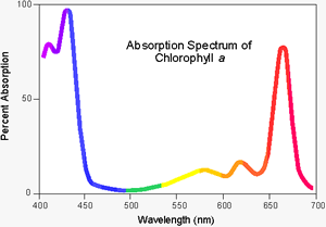 Analytical Chemistry - UV Visible Spectroscopy